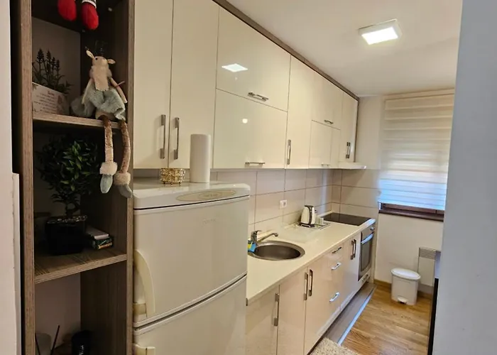 Darija_apartman 8_radovic Lejlighed Zlatibor